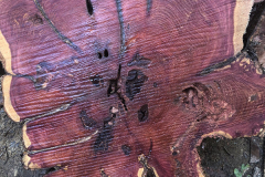 thumbnail_IMG_4685