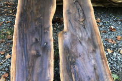 thumbnail_IMG_5539